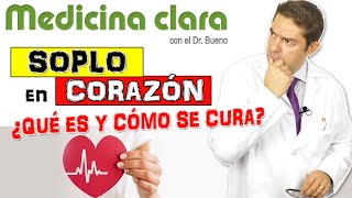 SOPLO CARDIACO 💔 ¿Por qué ocurre Soplo corazón en niños y Soplo en adjultos  Medicina Clara [upl. by Ehcadroj]