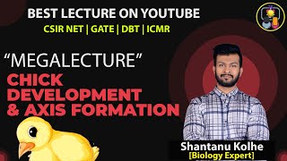 Chick Development  Axis Formation in chick embryo  CSIR NET  Developmental Biology [upl. by Berfield780]