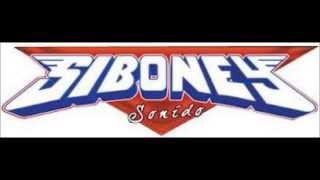 SONIDO SIBONEYGOZA CAMPESINACOL CARACOLES 08FEB2014 [upl. by Oirtemed]