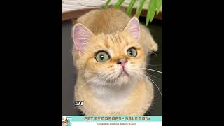 Pet Eye Drops  Sale 30 [upl. by Clive]