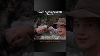 Story of the white 🐺 fang ❤🥹 1991 shorts wolf adventure movie explained [upl. by Siro]