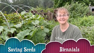 How Biennials Help You Save Seeds [upl. by Pippy85]