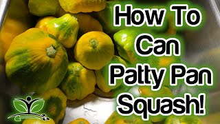 How To Can Squash  Canning Patty Pan Squash [upl. by Blaire]