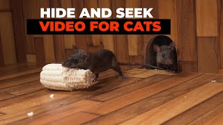 CAT GAMES 😺 Hide and Seek Mice for Cats to Watch with Bird Sounds [upl. by Kciwdahc]