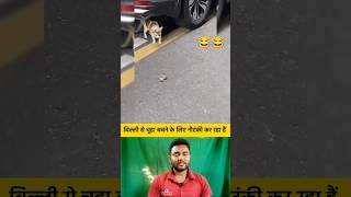 बिल्ली से चूहा बचने के लिए नौटंकी कर रहा हैं 😂😂 shorts cat rat catshorts funnyshorts [upl. by Bolte]