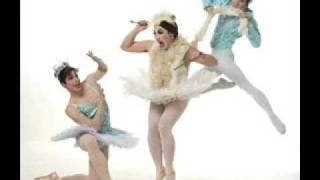 Parody of Tchaikovsky ballet Swan Lake  violin solo [upl. by Melisandra]