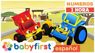 123 Arrancan  Nuevo espectáculo  Aprender números con autos de carreras 1 Hora BabyFirst Español [upl. by Rawdon827]