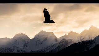 Eagle Festival 2017 Haines Alaska [upl. by Seadon]