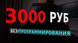 Зарабатывать не умея программировать  КАК [upl. by Bellaude777]