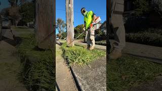 Whipper snipping  Line Trimming with the Stihl KMA 135r asmr stihl satisfying gardening [upl. by Ocir]