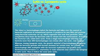 Lytic vs lysogenic cycle microbiology educationalvideo [upl. by Ran]