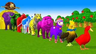 Paint amp Animals Duck Cow Gorilla Lion chicken Elephant Fountain Crossing Turtle Cartoon Game [upl. by Elyrpa]