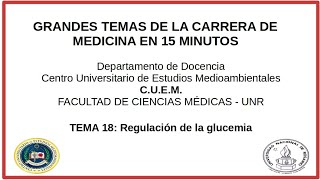 15min tema 18 Regulación de la glucemia [upl. by Oakley895]