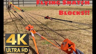 5 Pulling Stumps With Snatch Block Pulleys and 211 Mechanical Advantage 4K 60FPS [upl. by Aciram109]