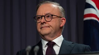 Anthony Albanese is a ‘phony’ Cory Bernardi [upl. by Kissiah856]