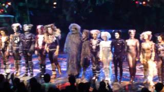 CATS Finale Curtain Call in Manila [upl. by Enahc]