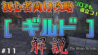 【ESO】ソロでも役立つ！初心者向け攻略「ギルド」解説【エルダースクロールズオンライン】11 [upl. by Ellecrag28]