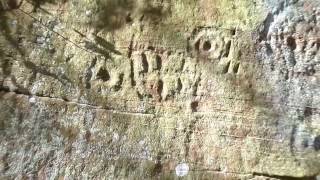 Ballochmyle Neolithic amp Bronze Age Rock Carvings  Mauchline Ayrshire [upl. by Sremlahc]