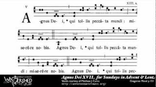 Agnus Dei XVII from Mass XVII Gregorian Chant [upl. by Florie]