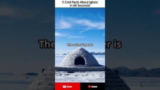 5 Cool Facts About Igloos in 60 Seconds [upl. by As]