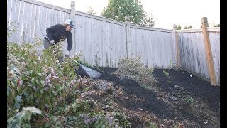 Landscape Prep Steep Slope Erosion Control [upl. by Cutter509]