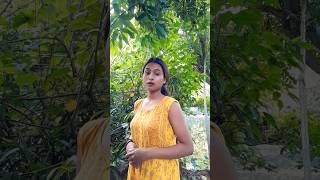 dance bollywood baishakhi [upl. by Nedia]