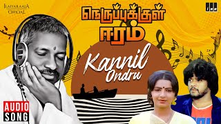 Kannil Ondru Song  Nerupukkul Eeram  Ilaiyaraaja  Thiagarajan  Ambika  Tamil Songs [upl. by Ertnom]