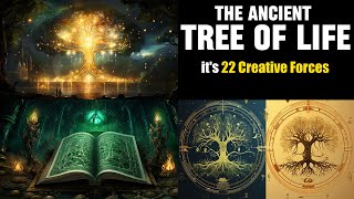 The Ancient Tree of Life and its 22 Creative Forces [upl. by Mallin748]