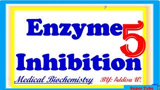 5enzyme inhibitors Competitive noncompetitive uncompetitive amp irreversible inhibition [upl. by Drofiar]