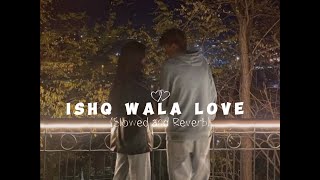 Ishq Wala Love  Song  Slowed  Reverb [upl. by Dlopoel]