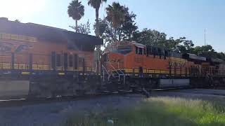 BNSF 7754 BNSF 8233 BNSF 8247 amp BNSF 3911 Rumbo al Norte Aguascalientes Ags Mexico [upl. by Arelc]