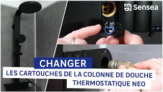 🔧 Réparation  Comment changer les cartouches de sa colonne de douche thermostatique Neo [upl. by Ordnasela864]