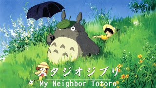 Studio Ghibli Piano Study Music Enhance Focus and Productivity with Melodic Ambiance [upl. by Nidnerb]