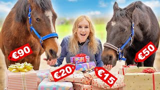 Cadeaus vol PAARDENSPULLEN openen met de PAARDEN 😱🎁 Challenge [upl. by Landy]