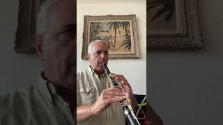 Divertimento 14 Mozart lygeros music clarinet musicalinstrument youtubeshorts viralshort [upl. by Zampino]