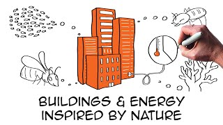 5 amazing biomimicry examples providing real sustainability solutions  Architecture Building Energy [upl. by Silverman]