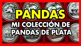 Colección de monedas PANDAS de PLATA de China [upl. by Airod]