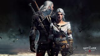 The Witcher 3 Wild Hunt PS5 Part 49  Blindingly Obvious amp Reason Of State [upl. by Adelle]