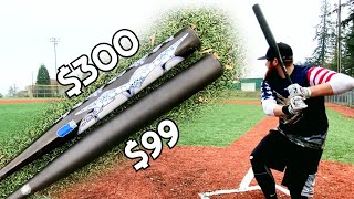 The CHEAPEST Slowpitch Softball Bat vs The MOST EXPENSIVE Slowpitch Softball Bat [upl. by Ubana]