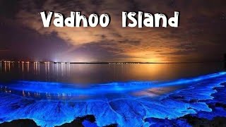 Vadhoo Island Maldives  Place to Visit in Maldives [upl. by Gladine]