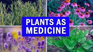 5 Powerful Medicinal Plants You Must Have At Home [upl. by Oys99]