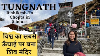 Chopta Tungnath Trek  Chopta Tour  Rishikesh to Chopta Tungnath Temple  Highest Shiva Temple [upl. by Nilya397]