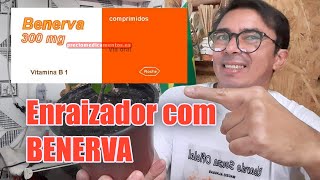 Como usar a BENERVA COMO ENRAIZADOR DE PLANTAS Enraiza futríferas Rosas  Comprimido Enraizador [upl. by Bornstein]