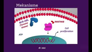 Mekanisme Kerja Obat Imatinib💊 [upl. by Vary]