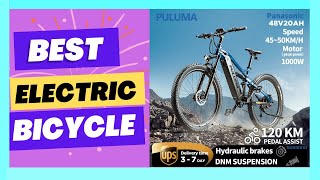 Puluma PU01 electric bicycle Panasonic battery [upl. by Virgilia]