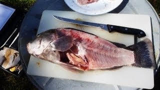 How to Fillet a Fish quick and easy way [upl. by Aduh807]