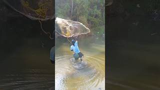 Jala ikan ke tengah sungai‼️ fishing jalaikansungai americanfishing [upl. by Engdahl545]