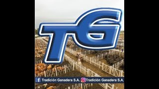 TRADICION GANADERA REMATE VILLA ANGELA 210324 [upl. by Adlesirg260]