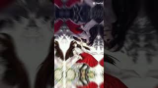 Alluka Zoldyck hunterxhunter fyp capcut template allukazoldyck edit [upl. by Yehc]