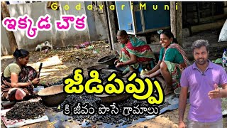 Andhrapradesh Dr Br Ambadkar Konasema Distict Cashew Nut Low Cost ByGodavarimuni [upl. by Johnette]